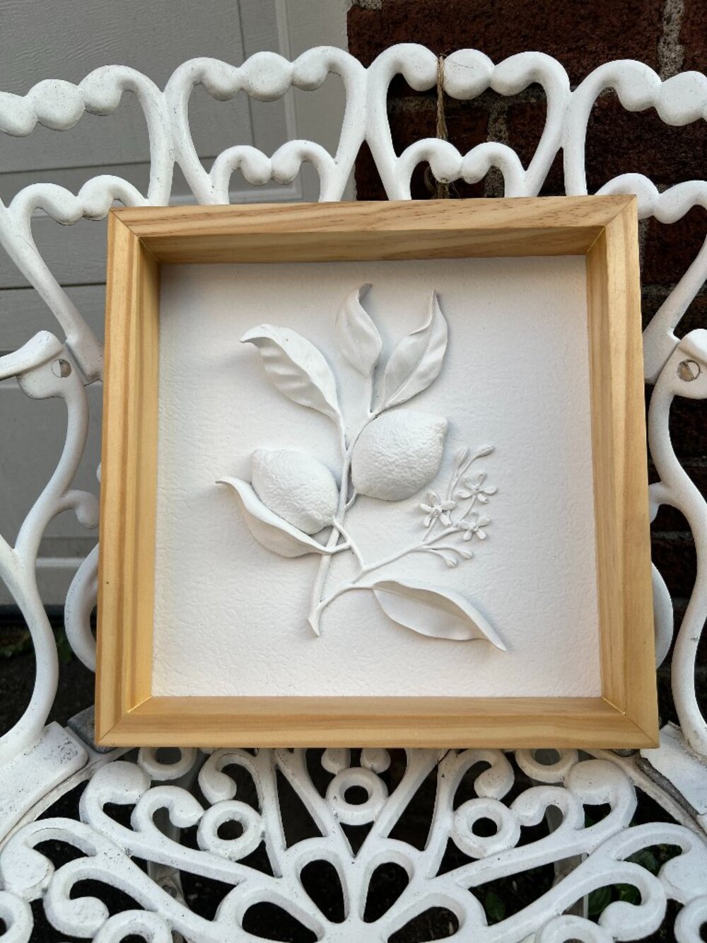 Sculptured Lemons in Frame Art